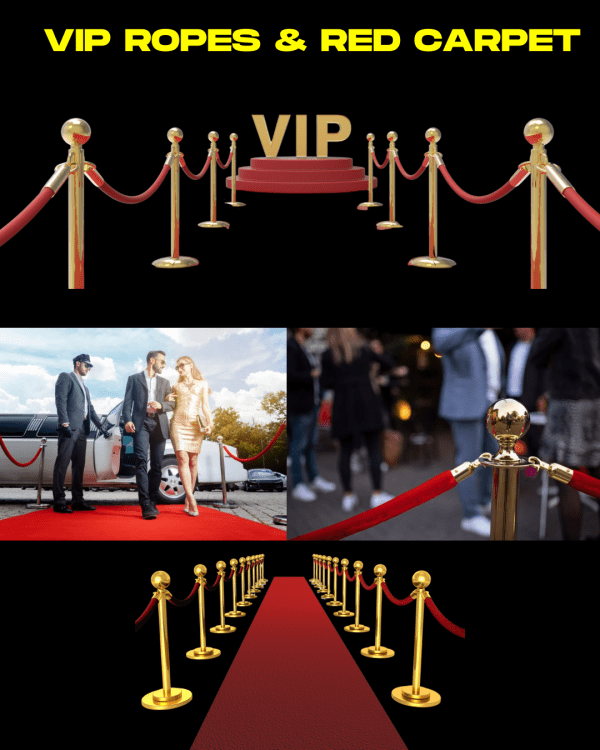 Premium VIP Package